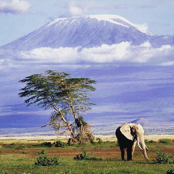 35 Stunning Images Of Kenya That Will Take Your Breath Away! | Zikoko!