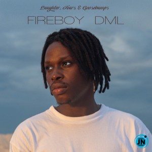 Fireboy’s ‘Laughter, Tears, and Goosebumps’