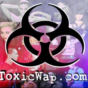 Toxic Wap - 5 Websites Every Nigerian Used To Download Stuff From In The 2000s | Zikoko!