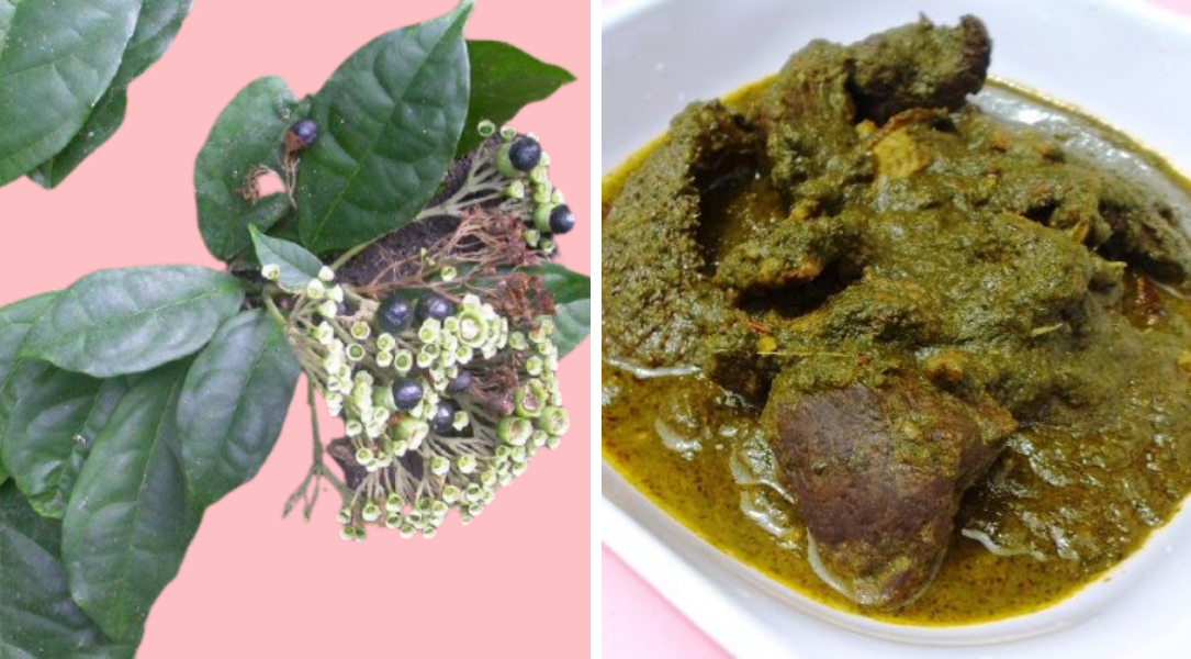 4 Yoruba Vegetables You Probably Don't Know About Zikoko!