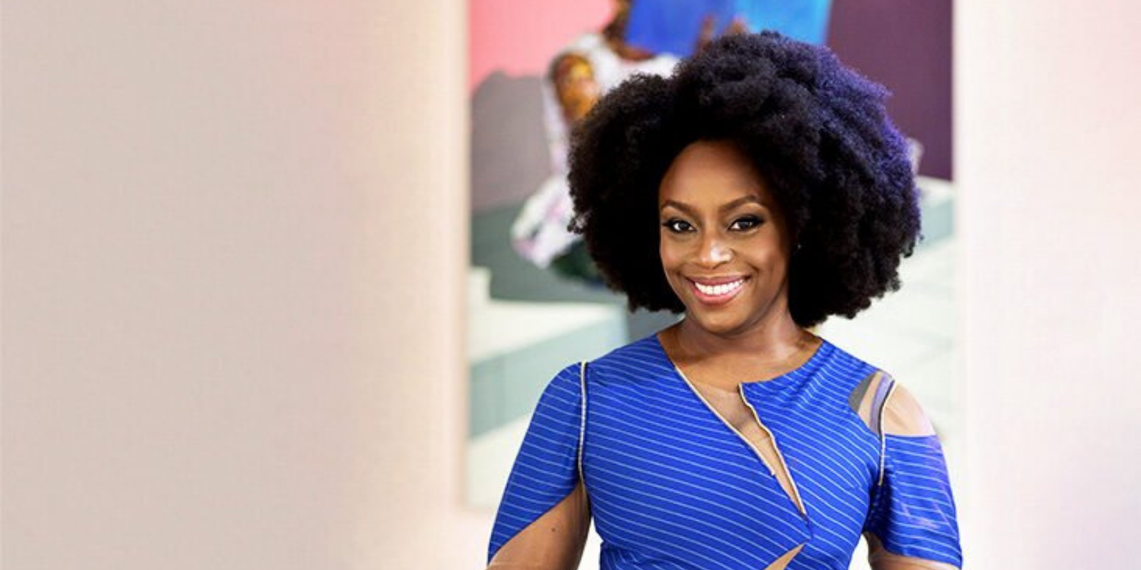 What does Chimamanda Adichie do for a living?