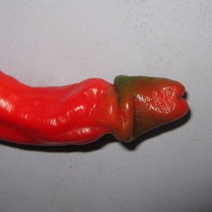 Pepper, because it\'s hot