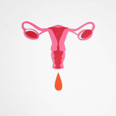 illustration of the female reproductive system with blood  