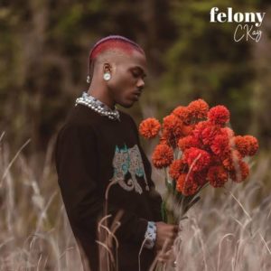 “Felony” — Ckay