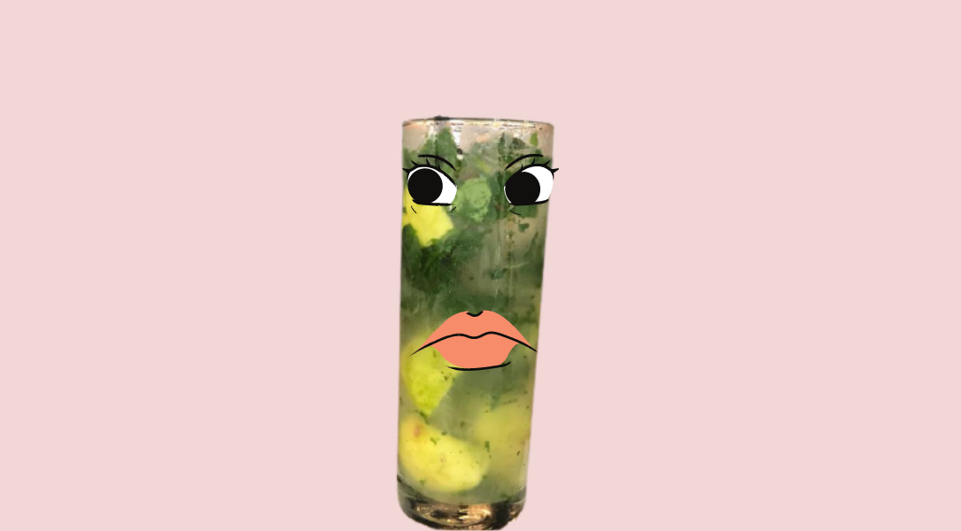Interview With Mojisola, The Lagos Mojito: “Leaf Is Leaf” | Zikoko!