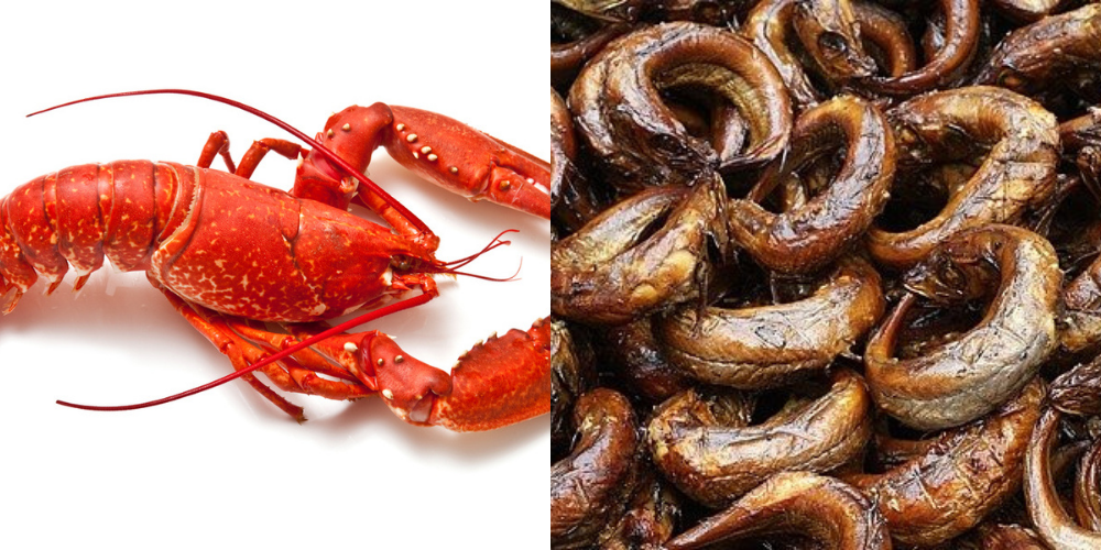 Quiz Which Seafood Are You? Zikoko!