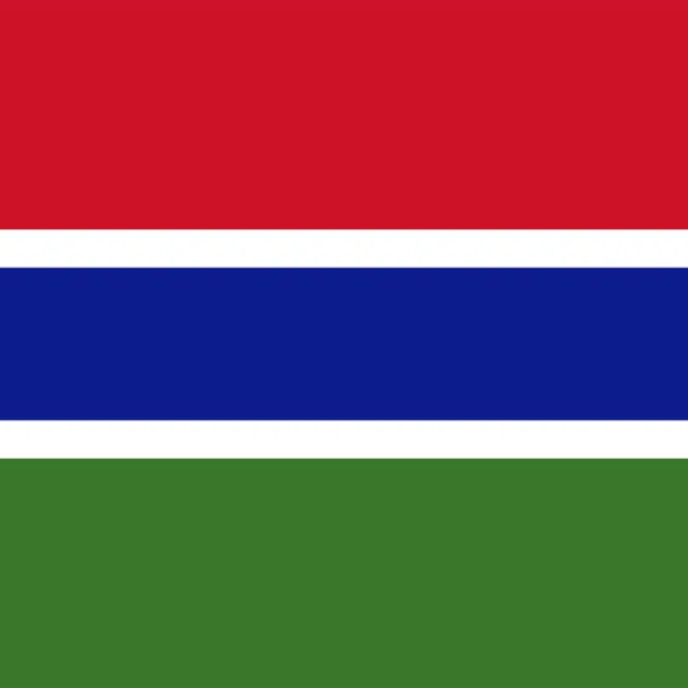 What is the official currency of Gambia?