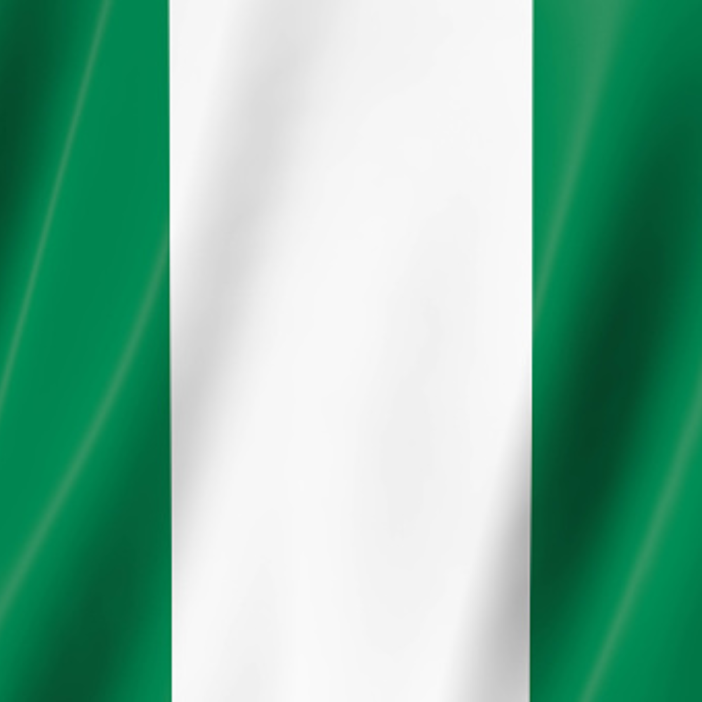 What is the official currency of Nigeria?