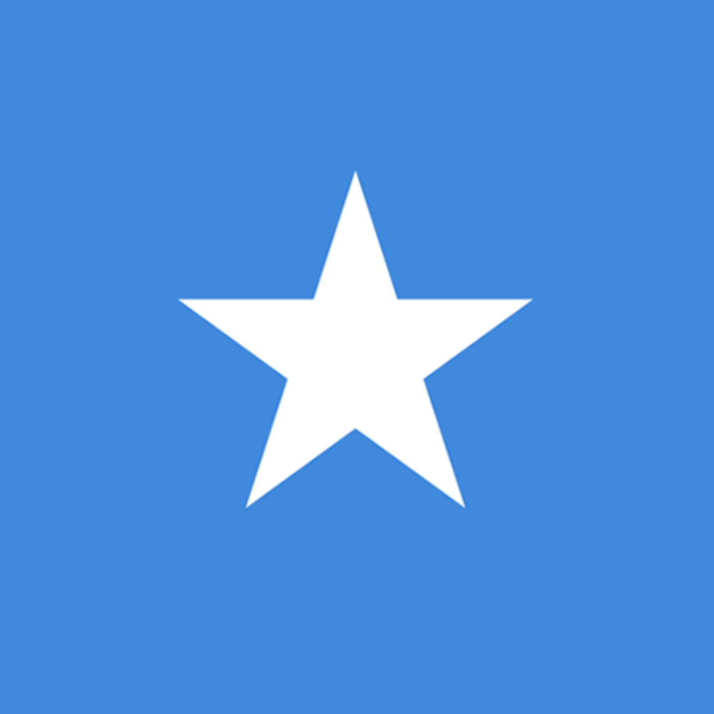 What is the official currency of Somalia?
