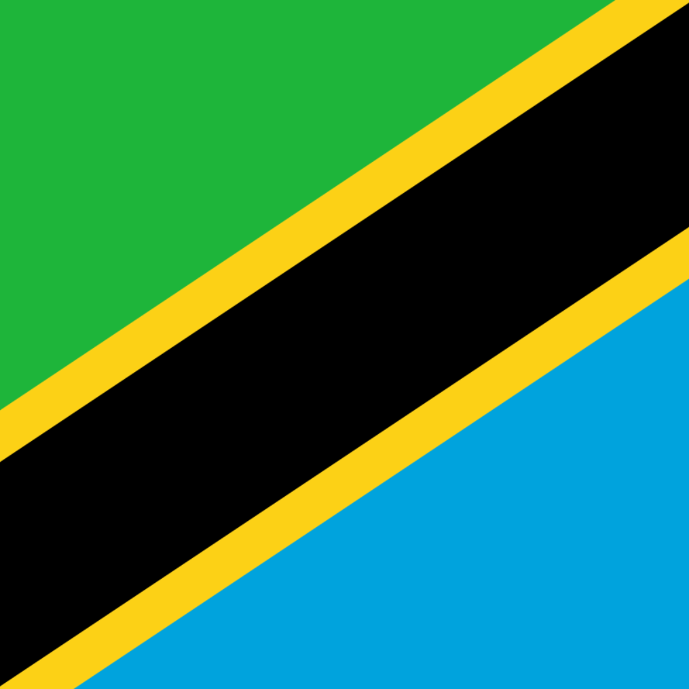 What is the official currency of Tanzania?