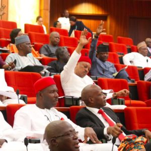Image of members of Nigerian senate