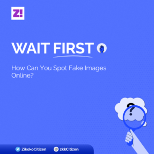 Wait First: How Can You Spot Fake Images Online?