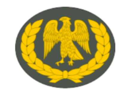 What Are the Ranks in the Nigerian Army?