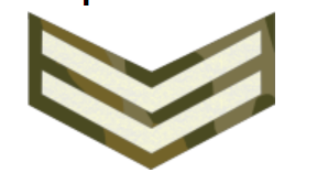 What Are the Ranks in the Nigerian Army?