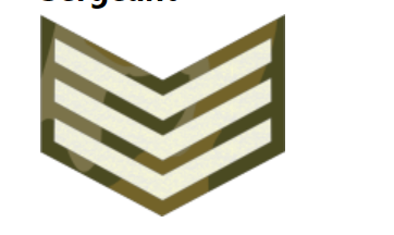 What Are the Ranks in the Nigerian Army?