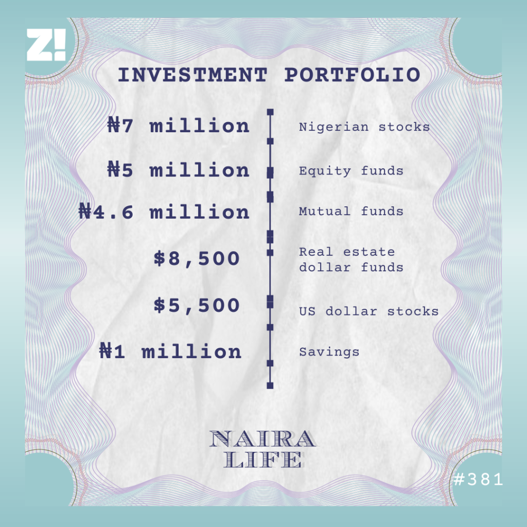 Naira Life 381 investment breakdown
